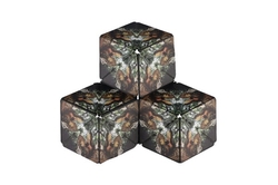 Hlavolam kostka magnetická dinosaurus plast 2 druhy v krabičce 6x6x6cm