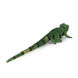 Plyšový leguán zelený 70 cm ECO-FRIENDLY