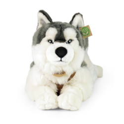 Plyšový pes husky s postrojem ležící 60 cm ECO-FRIENDLY