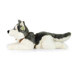 Plyšový pes husky s postrojem ležící 60 cm ECO-FRIENDLY