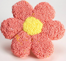 PlayFoam Boule 4pack-G