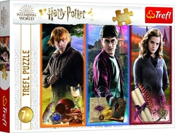 Puzzle Ve světě magie a čarodějnictví/Harry Potter 200 dílků 48x34cm v krabici 33x23x4cm